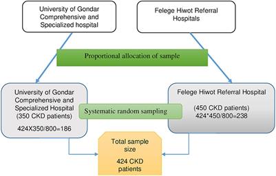 Poor sleep quality and associated factors among adult chronic kidney disease patients